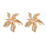 Earrings For Women